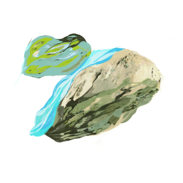 blot